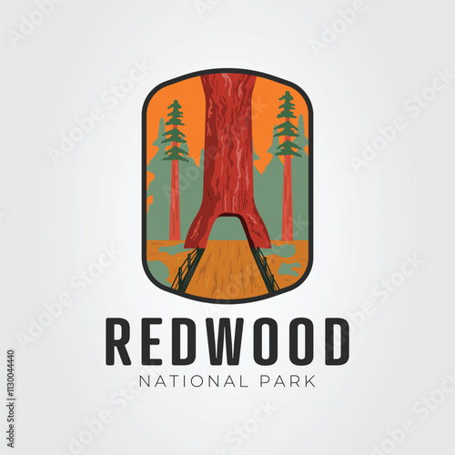 chandelier tree or redwood national park logo vector illustration design