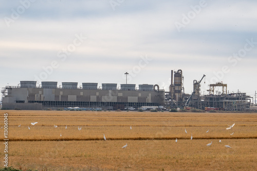 Geothermal plant. Salton Buttes volcanic field, South Shore of the Salton Sea, California. Lake beds photo