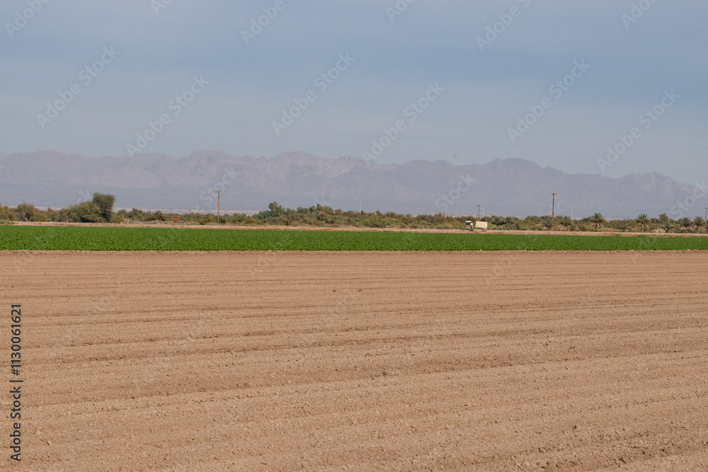 Fototapeta premium Salton Buttes volcanic field, South Shore of the Salton Sea, California. Lake beds