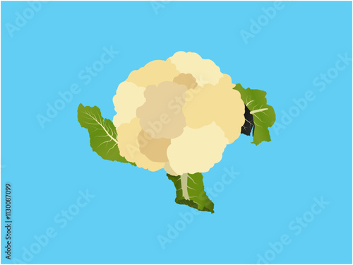 Elegant Cauliflower Design Perfect for Food and Organic Themes
