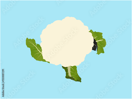 Elegant Cauliflower Design Perfect for Food and Organic Themes