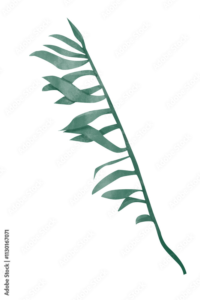 Obraz premium Watercolor Palm Green Leaf Side View Single Illustration for Print and Web