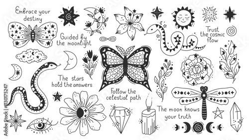 Vintage Celestial Doodle Nature Elements Set. Hand drawn ink butterfly moth snake flower rose chamomile crystal moon star eye crescent symbols. Esoteric mystical clipart.