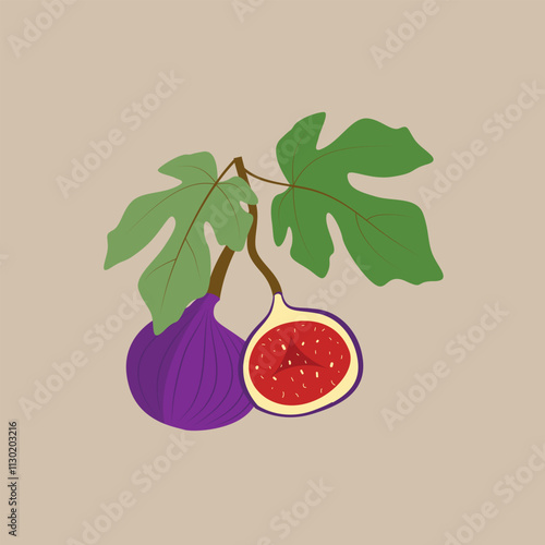 Whole and cut fig with thin skin and many small seeds inside. Fruit on branch with green leaves.