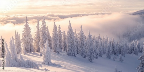 Wallpaper Mural Snow covered trees stand majestically on a mountain, rising above a mesmerizing cloud inversion, creating a breathtaking scene of snowy trees and ethereal beauty. Torontodigital.ca