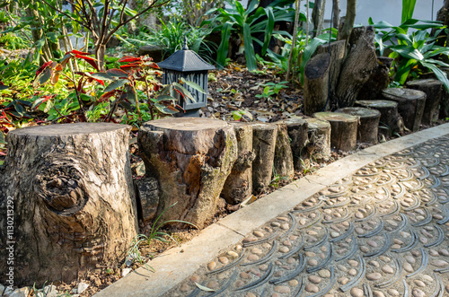 Edge of a garden path or walkway, constructed using natural tree trunks or logs, creating a series of steps or a border along the path. The raw, organic tree trunk materials creates a rustic aesthetic photo