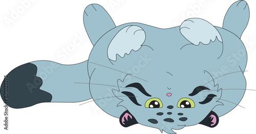 cute wild cat manul lies on its back and looks straight ahead with displeasure