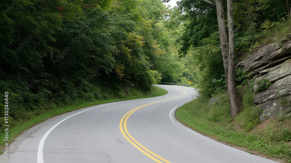 Fototapeta premium road in the forest