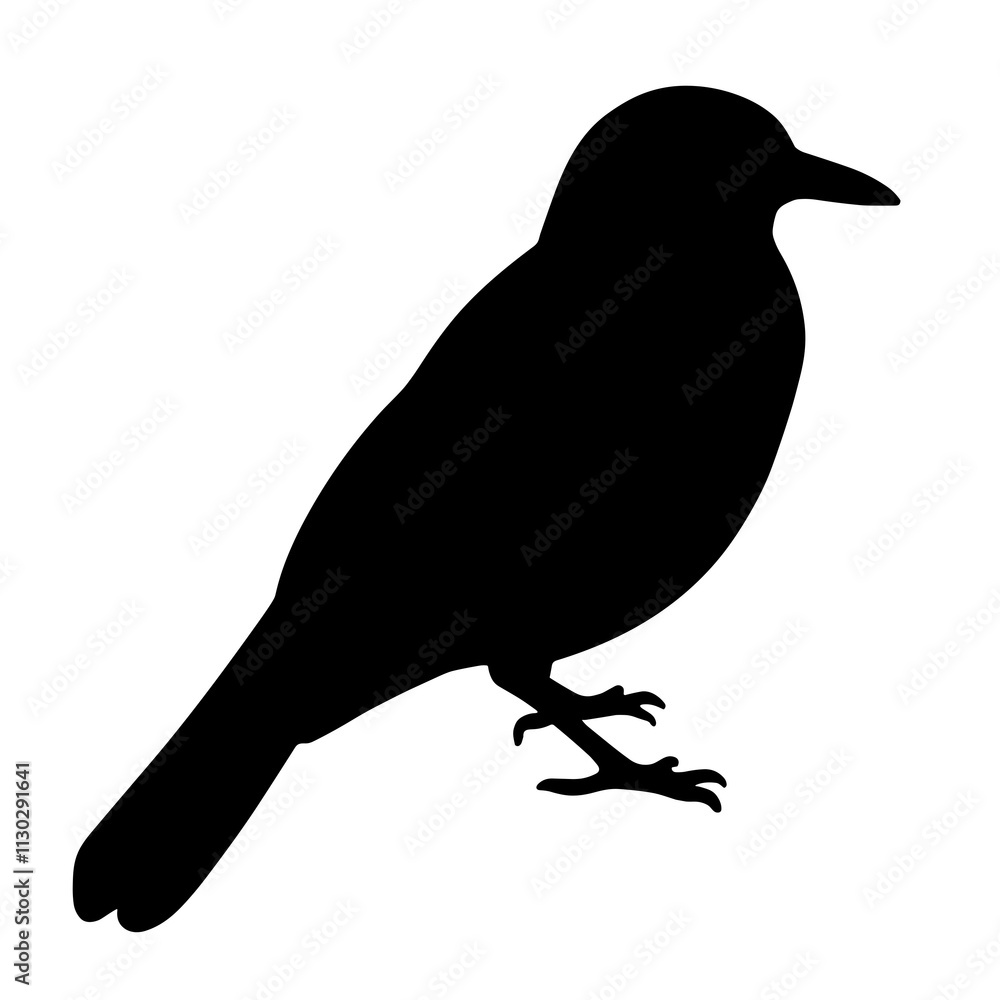 Obraz premium Silhouette of a jay bird against white background, minimalist design