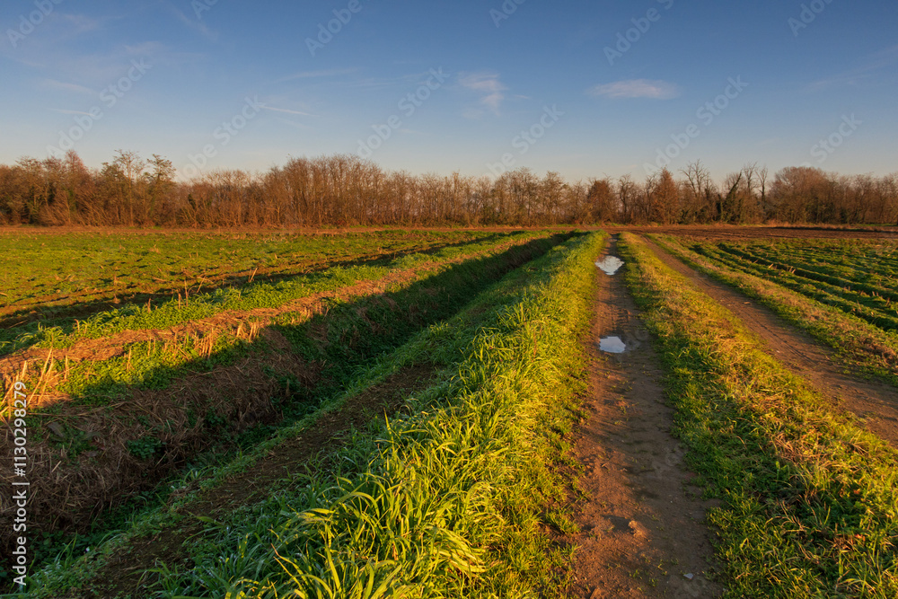 Po Valley fields field landscape panorama