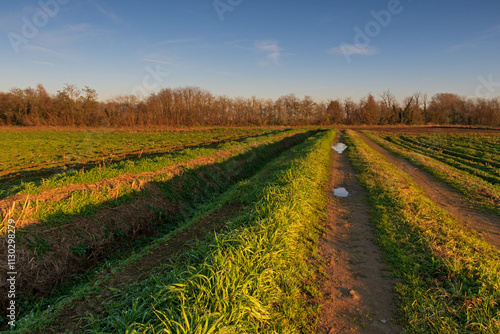 Obraz na płótnie Po Valley fields field landscape panorama w salonie