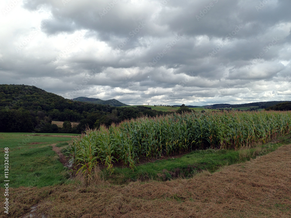 Obraz premium Aussicht von Feldweg in Steinbach, einem Ortsteil von Lebach, im Landkreis Saarlouis im Saarland in Richtung Wortsegel in Sotzweiler und in Richtung Schaumberg in der Gemeinde Tholey. 