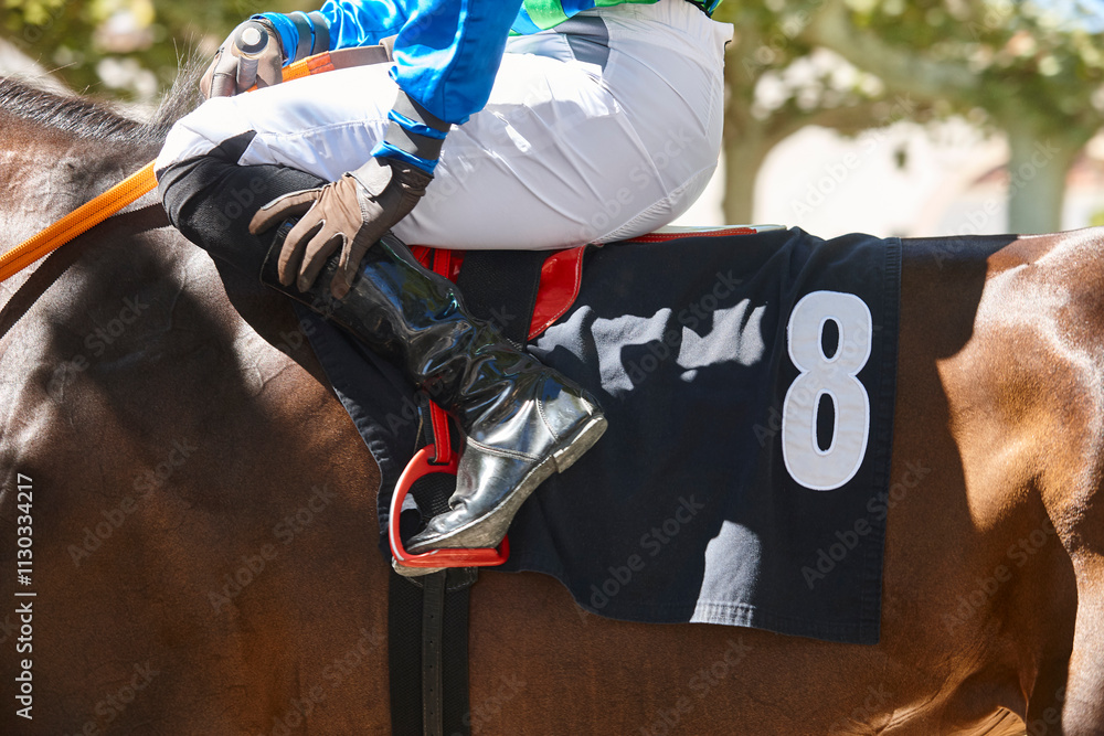 Race horse with jockey detail. Purebred in the hippodrome. Turf