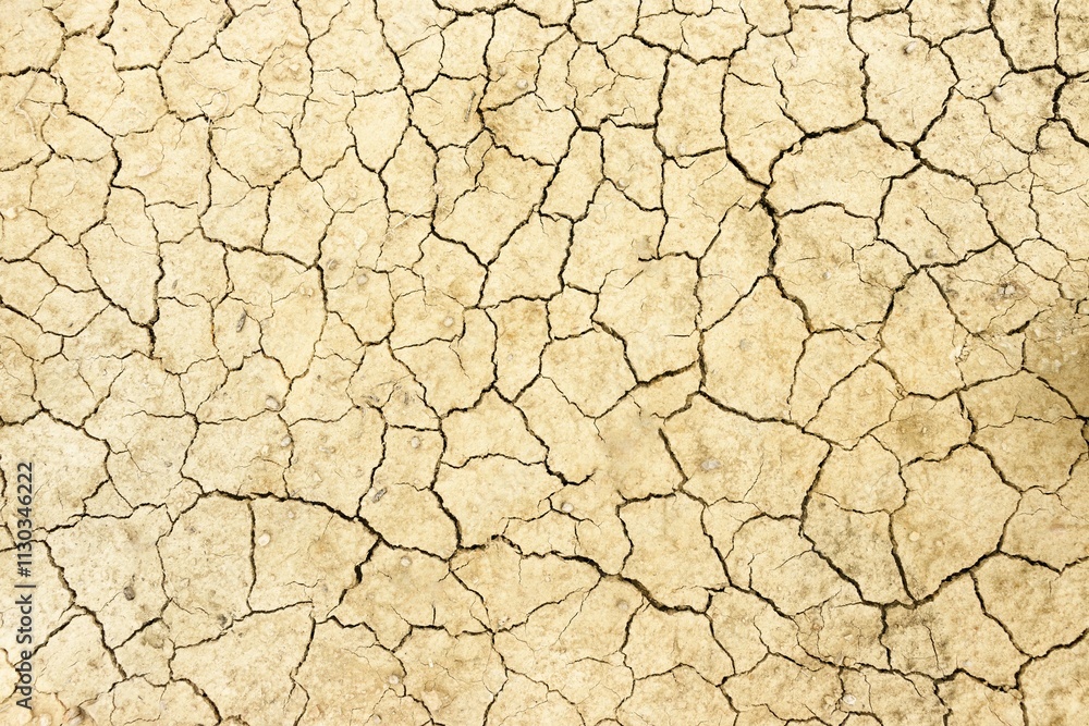 Parched, Cracked Earth Highlighting Effects of Drought Parched, Cracked Earth Highlighting Effects of Drought