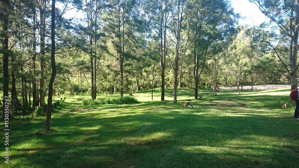 Naklejka premium Australia_