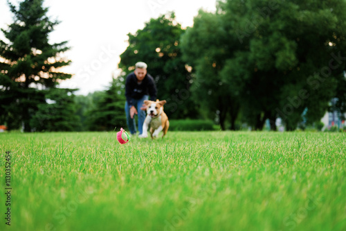Canvas Print Man playing fetch with his dog in a park, active pet owner, outdoor playtime, copy space for text