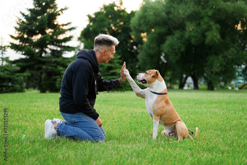Brown dog hand shaking man with green and park scene. The training, the paw command. A dog gives a paw to the owner in the park for a treat. american bulldog.
