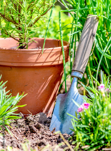 shovel next to a terracotta flower pot planting in the soil among leaf and fl...