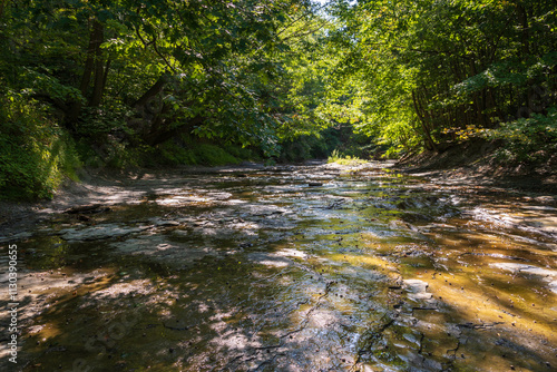 Wintergreen Gorge, Harborcreek Township, Erie County in the U.S. state of Pennsylvania photo