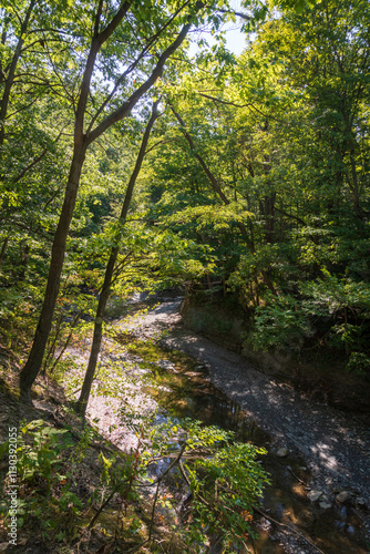 Wintergreen Gorge, Harborcreek Township, Erie County in the U.S. state of Pennsylvania photo