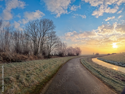 Dutch winter landscape with frozen reeds on the edge of the ponds. Cold morning with ice crystals on the surface of dry plants photo