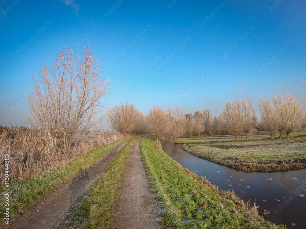 Dutch winter landscape with frozen reeds on the edge of the ponds. Cold morning with ice crystals on the surface of dry plants Dutch winter landscape with frozen reeds on the edge of the ponds. Cold morning with ice crystals on the surface of dry plants