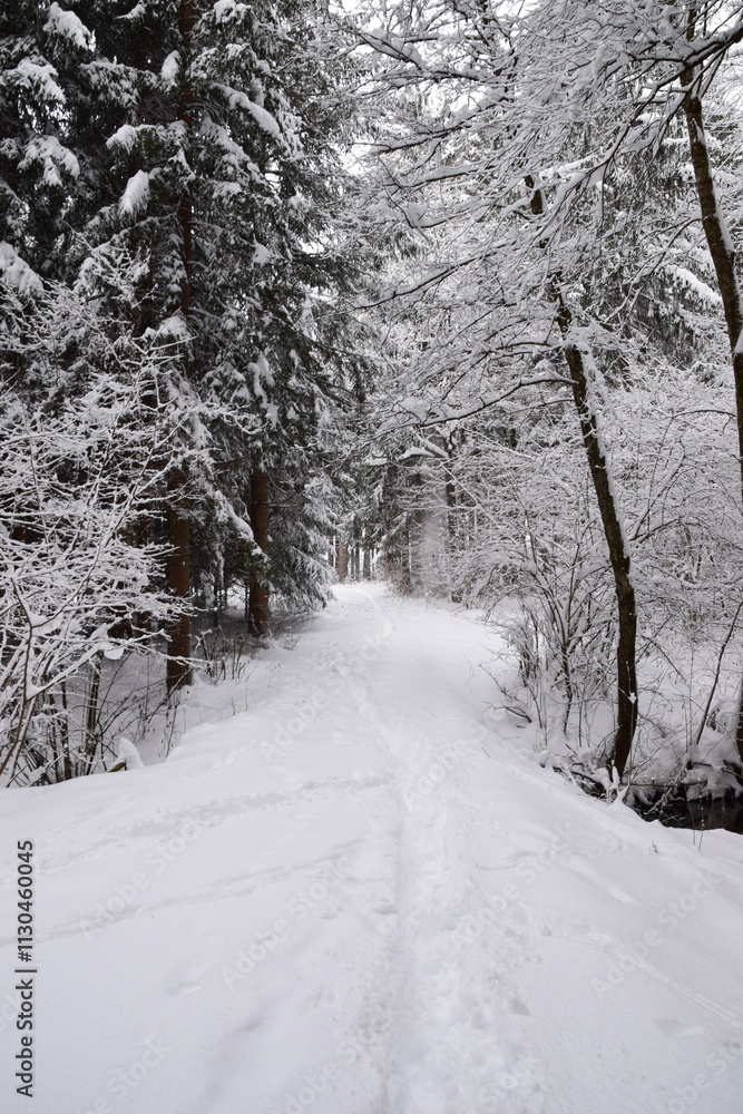 Obraz premium snow covered road through a forest in winter