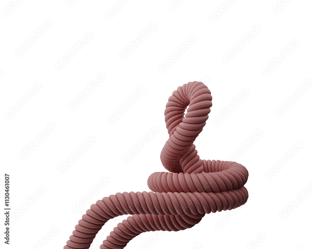 Fototapeta premium A rolled up nautical rope isolated in white background. Image 3D rendering.