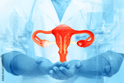 Doctor shows female reproductive system on medical background. Help and care concept. 3d illustration photo