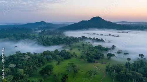 Practices conserving forests and promoting sustainable forestry Forest Conservation Sustainable Forestry ensuring ecological balance, photo