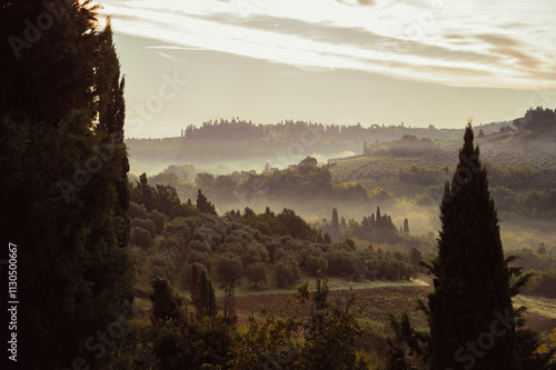 Campagne Toscane le matin - 3 photo