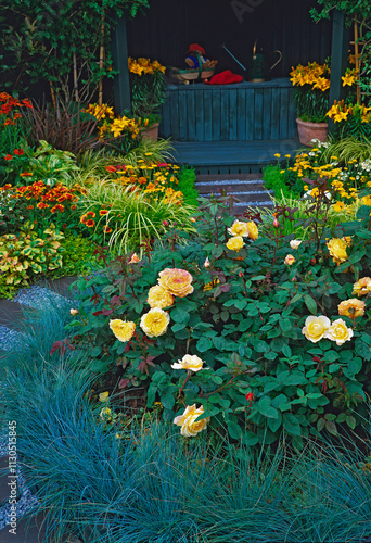 Yellow borders with blue fescue,  painted work bench.