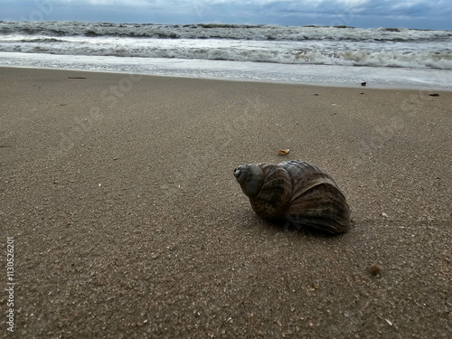 Am Strand von Blavand in Dänemark photo