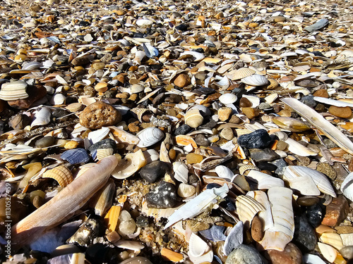 Am Strand von Blavand in Dänemark photo