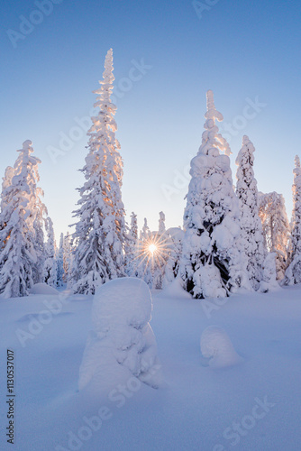 Obraz na płótnie winter landscape with trees and snow w salonie