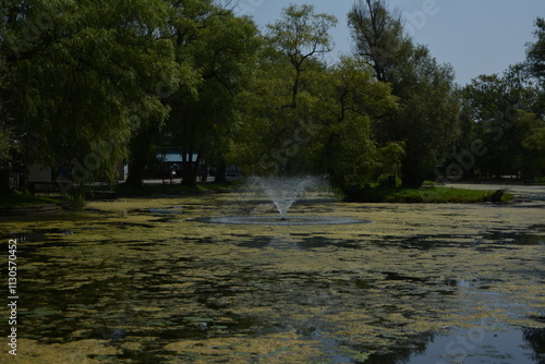 Canvas Print Beautiful algae pond with fountain on a summer day on Toronto Island
