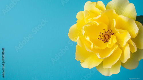 Wallpaper Mural Discover the natural elegance of a yellow rose close-up, showcasing soft petals and delicate macro textures. A stunning botanical image, perfect for nature and flower lovers. Torontodigital.ca
