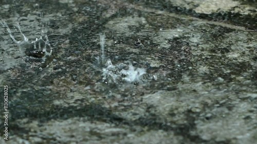 Wallpaper Mural Heavy rain drops on the ground. Raindrops falling on the cement floor on a rainy day. Raindrops on cement floor. Torontodigital.ca
