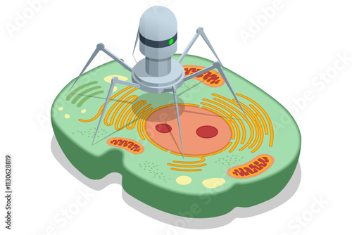 Isometric nanorobot is designed to interact with cellular structures. Repair damaged parts of a cell, remove undesirable elements, viruses or mutations, and deliver medications directly into the cell.