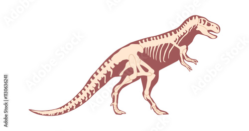 Tyrannosaurus dino skeleton vector illustration