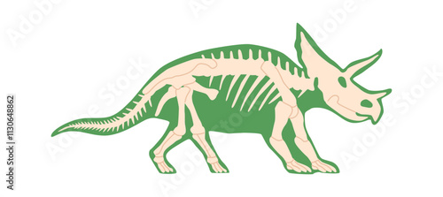 Triceratops dinosaur skeleton vector illustration