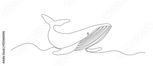 Whale one line sketch. Hand drawn doodle vector illustration isolated on white background. Sea animal drawing
