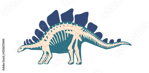Stegosaurus skeleton bones vector illustration