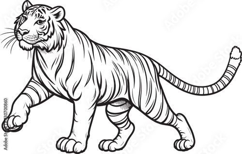 Set of big tigers. Collection of portraits of predatory wild cats. Set of wildlife and fauna dwellers. Vector illustration on a white background. Tattoo.
