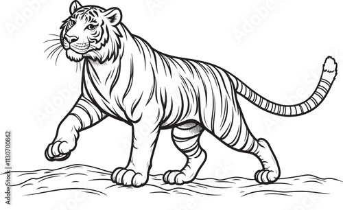 Set of big tigers. Collection of portraits of predatory wild cats. Set of wildlife and fauna dwellers. Vector illustration on a white background. Tattoo.
