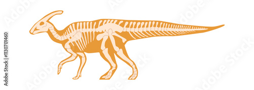 Saurolophus fossils skeleton vector illustration