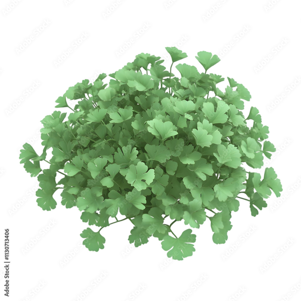 Obraz premium A lush cluster of green leaves, resembling a small plant or herb.