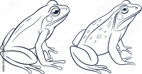 Frog line art vector and black and white drawing illustration design