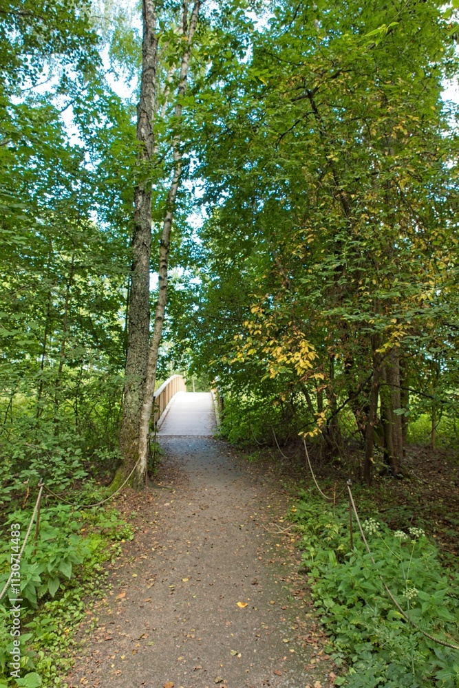 Obraz premium View of nature trail at Pornaistenniemi with green trees and small winding foot path in summer, Helsinki, Finland.