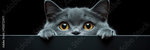 Playful cat with bright eyes peeking over a ledge. photo